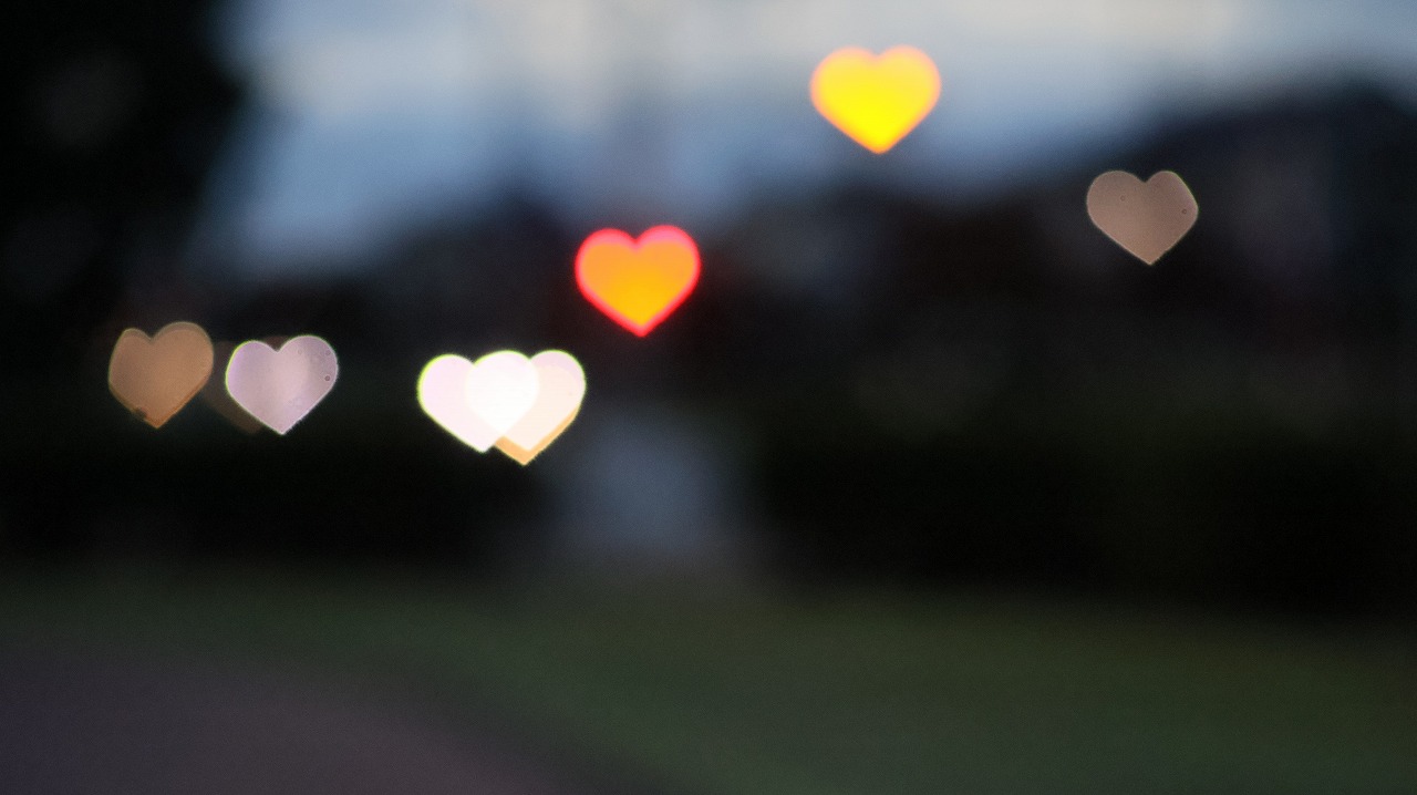 群馬県太田市の太田市運動公園の風鈴と花