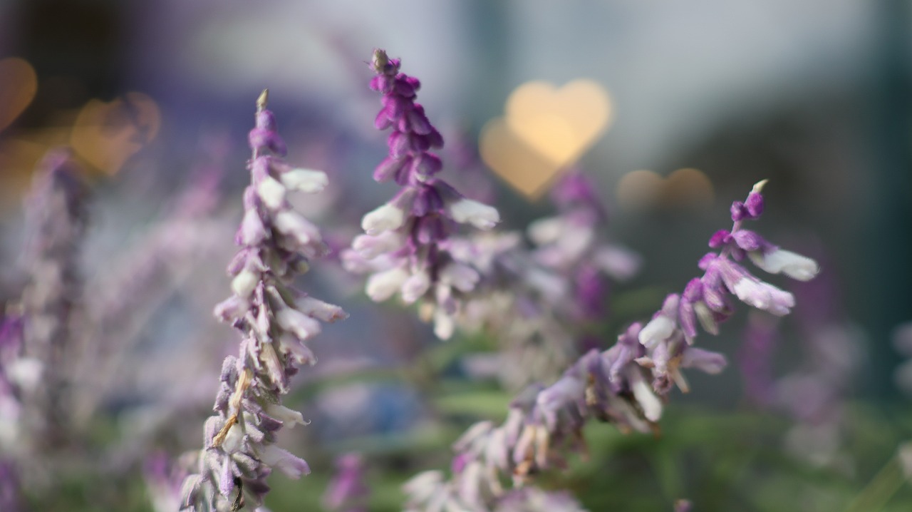 栃木県足利市のあしかがフラワーパークの花々