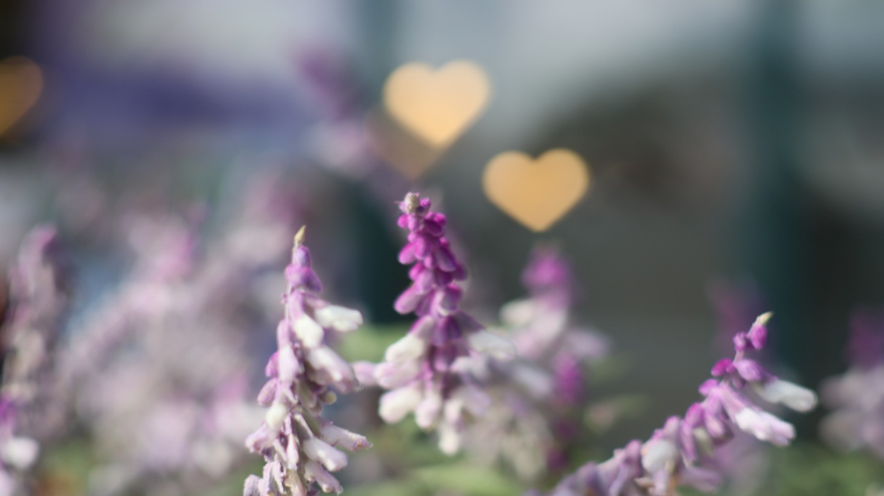 栃木県足利市のあしかがフラワーパークの花々