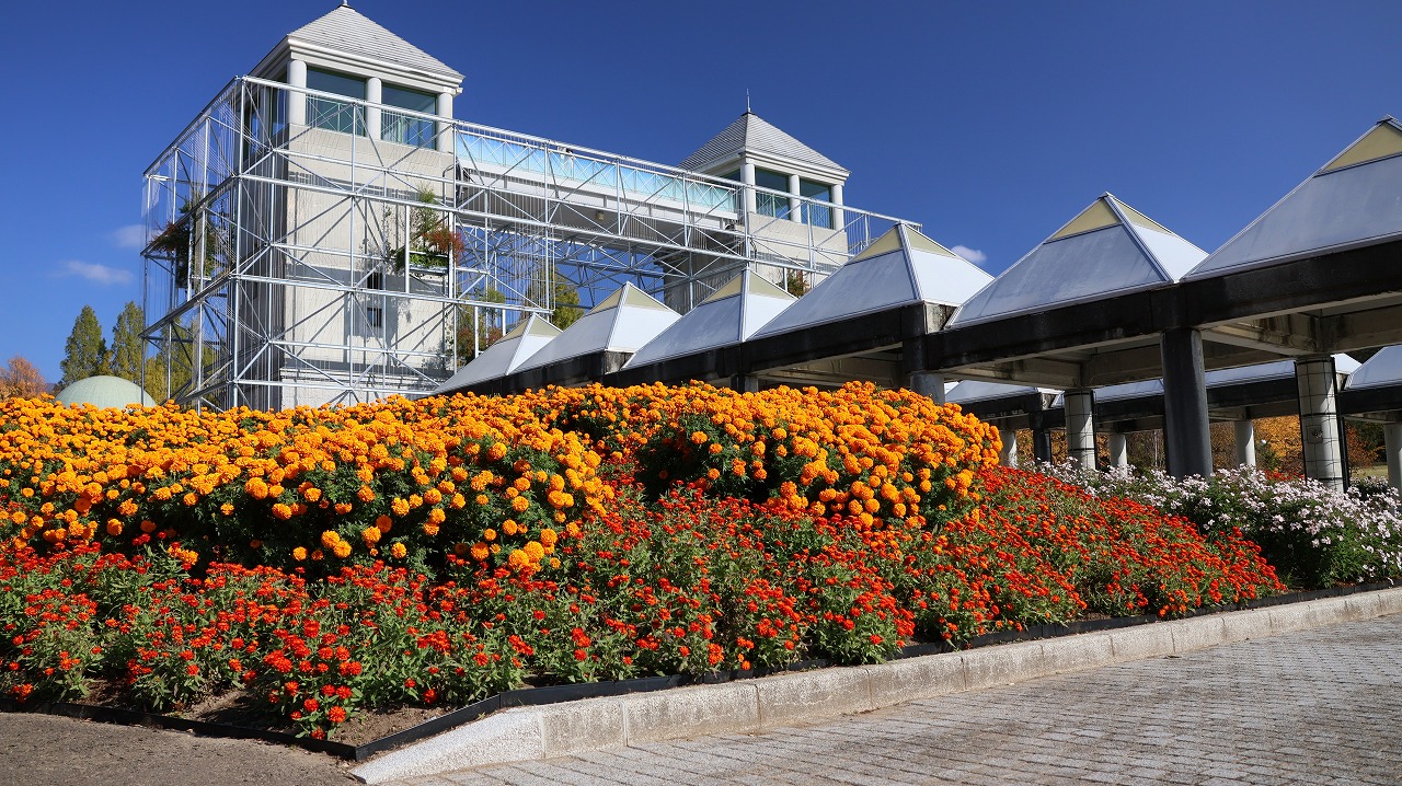 群馬県前橋市の群馬フラワーパークの花々