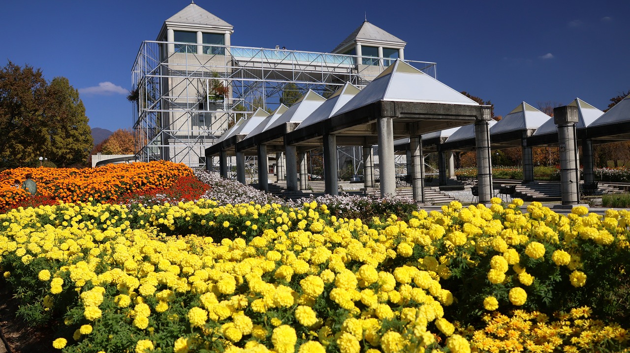 群馬県前橋市の群馬フラワーパークの花々