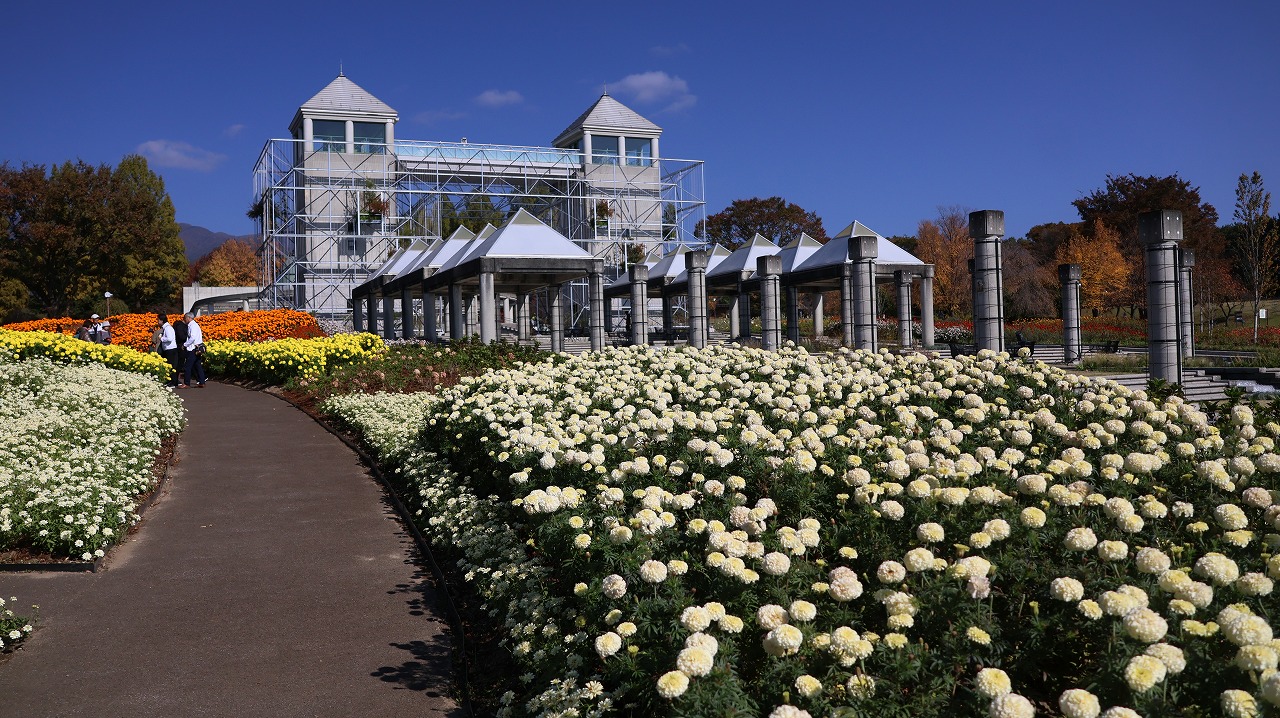 群馬県前橋市の群馬フラワーパークの花々