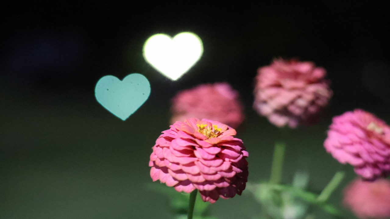 群馬県太田市の太田市運動公園の風鈴と花