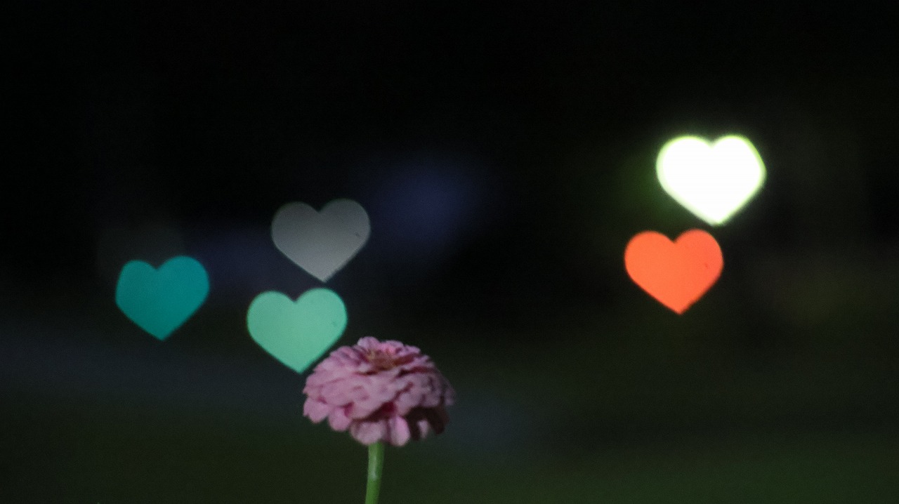 群馬県太田市の太田市運動公園の風鈴と花