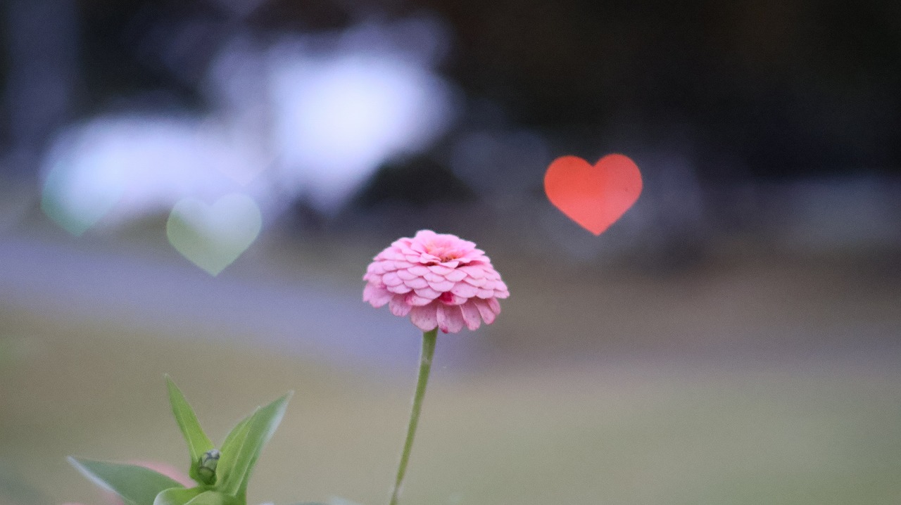 群馬県太田市の太田市運動公園の風鈴と花