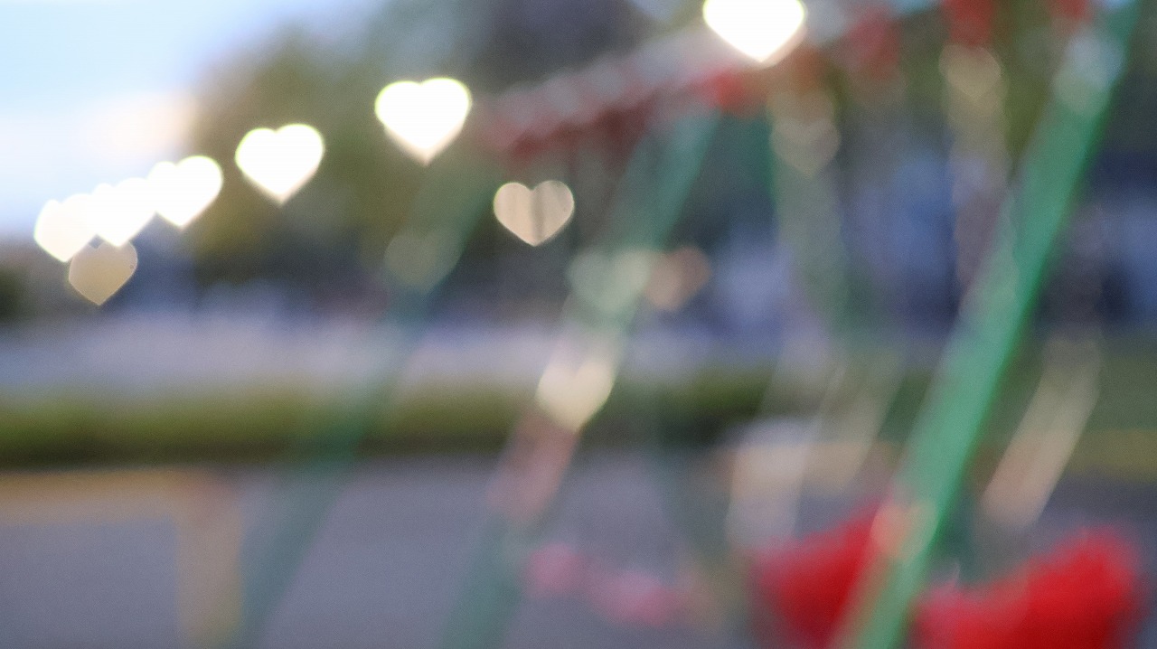 群馬県太田市の太田市運動の風鈴と花