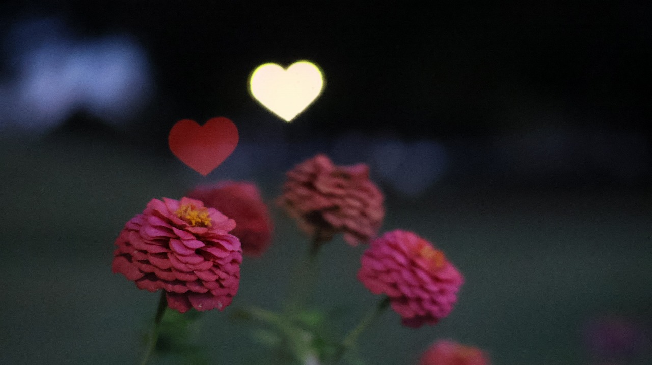 群馬県太田市の太田市運動公園の風鈴と花