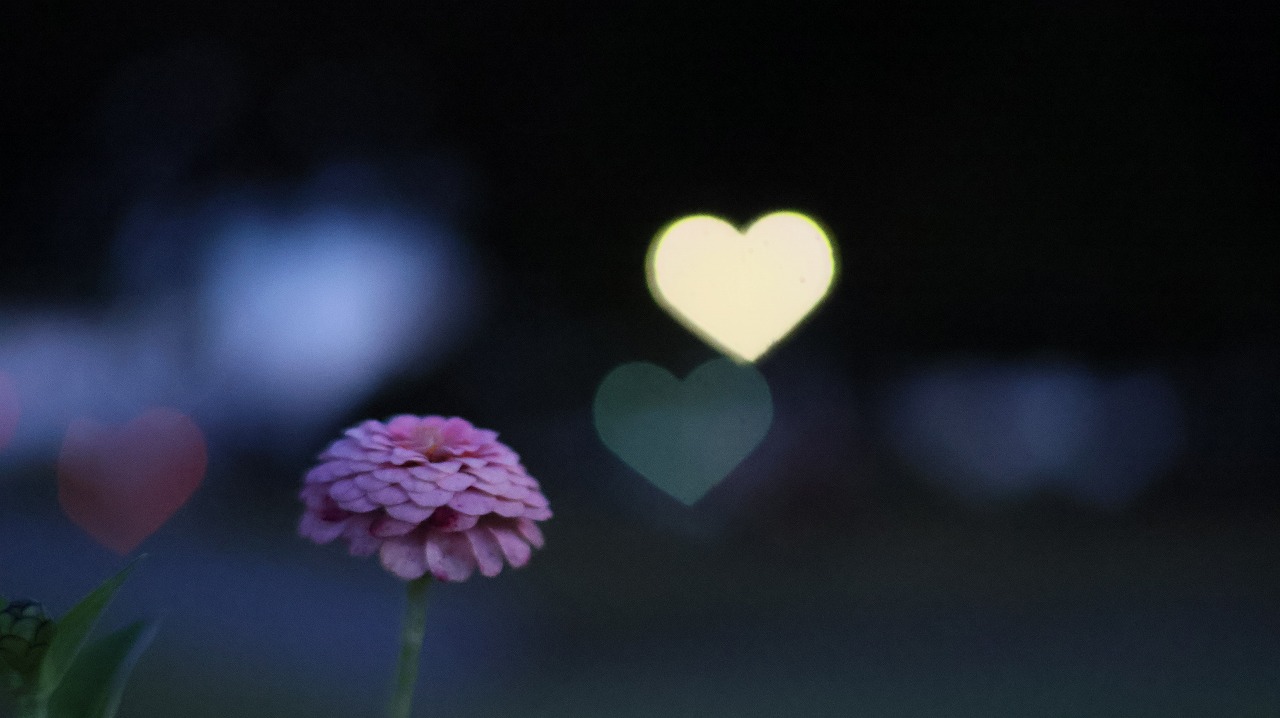 群馬県太田市の太田市運動公園の風鈴と花