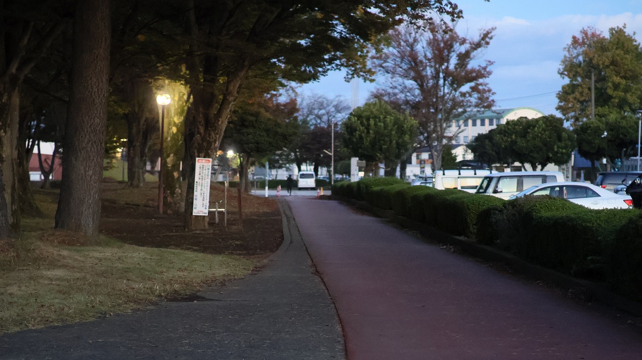 群馬県太田市の太田市運動公園の風鈴と花