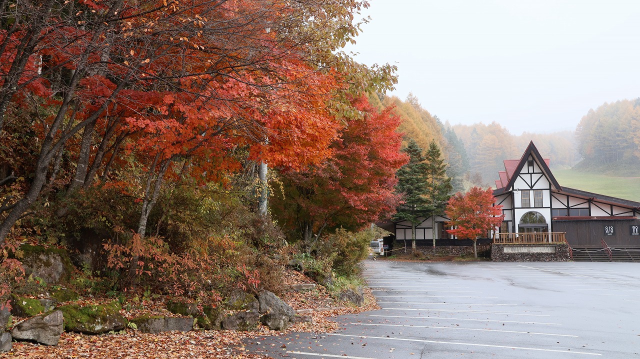 雪の金精峠といろは坂の紅葉