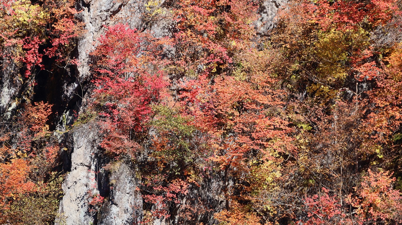雪の金精峠といろは坂の紅葉