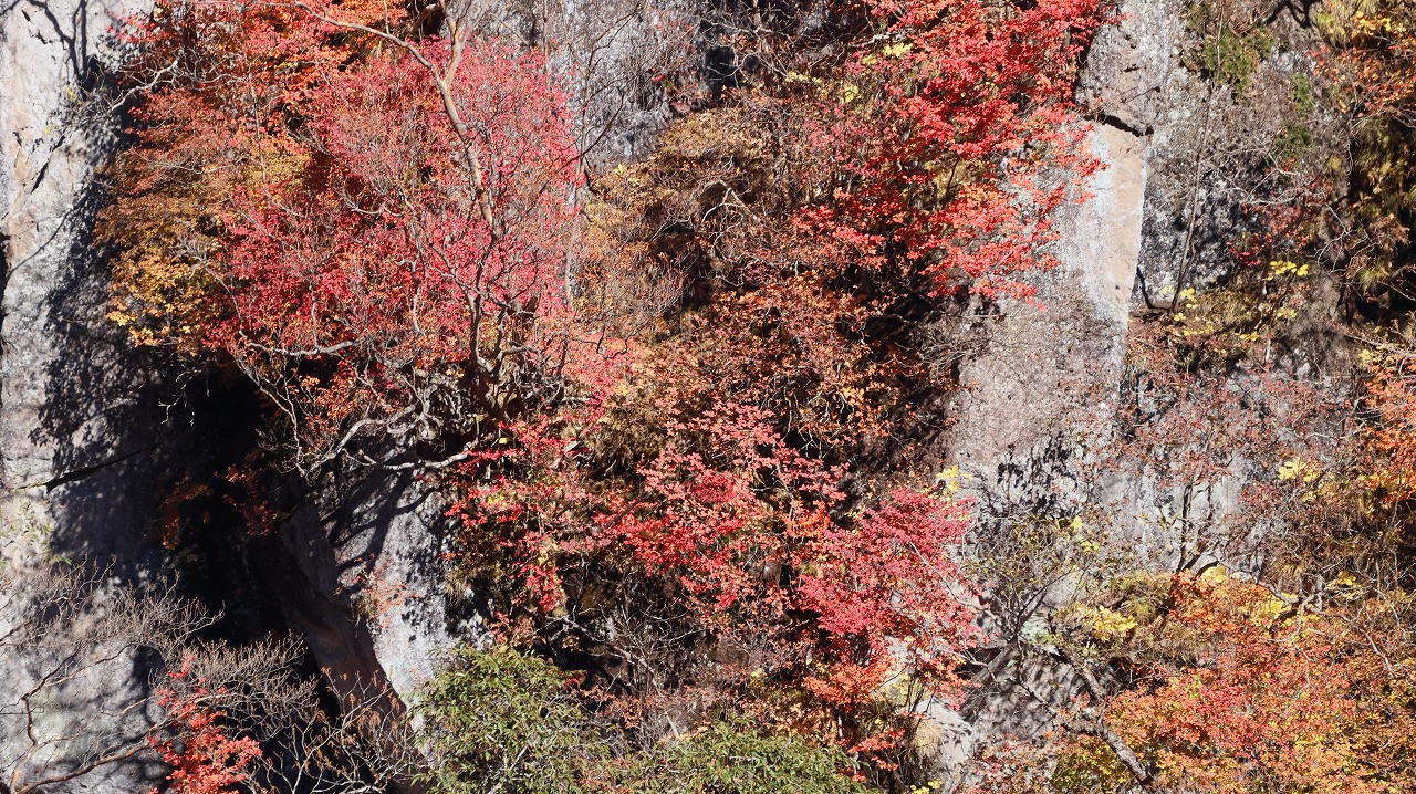 雪の金精峠といろは坂の紅葉