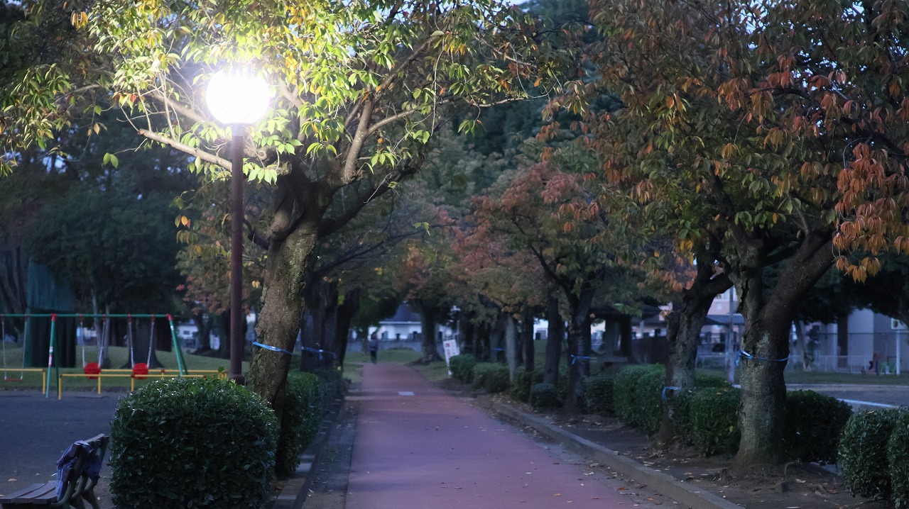 群馬県太田市の太田市運動公園の風鈴と花