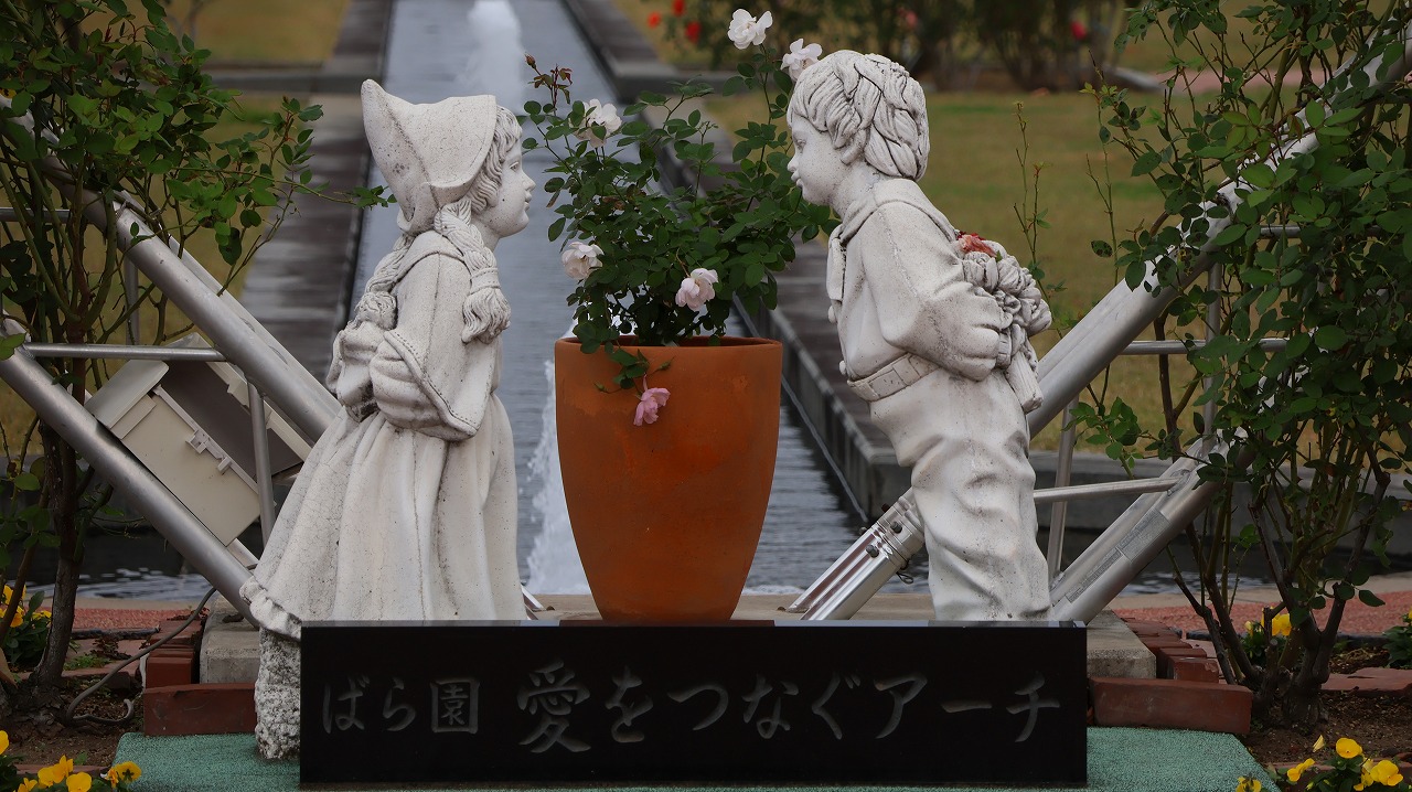 群馬県前橋市の敷島公園のバラ園