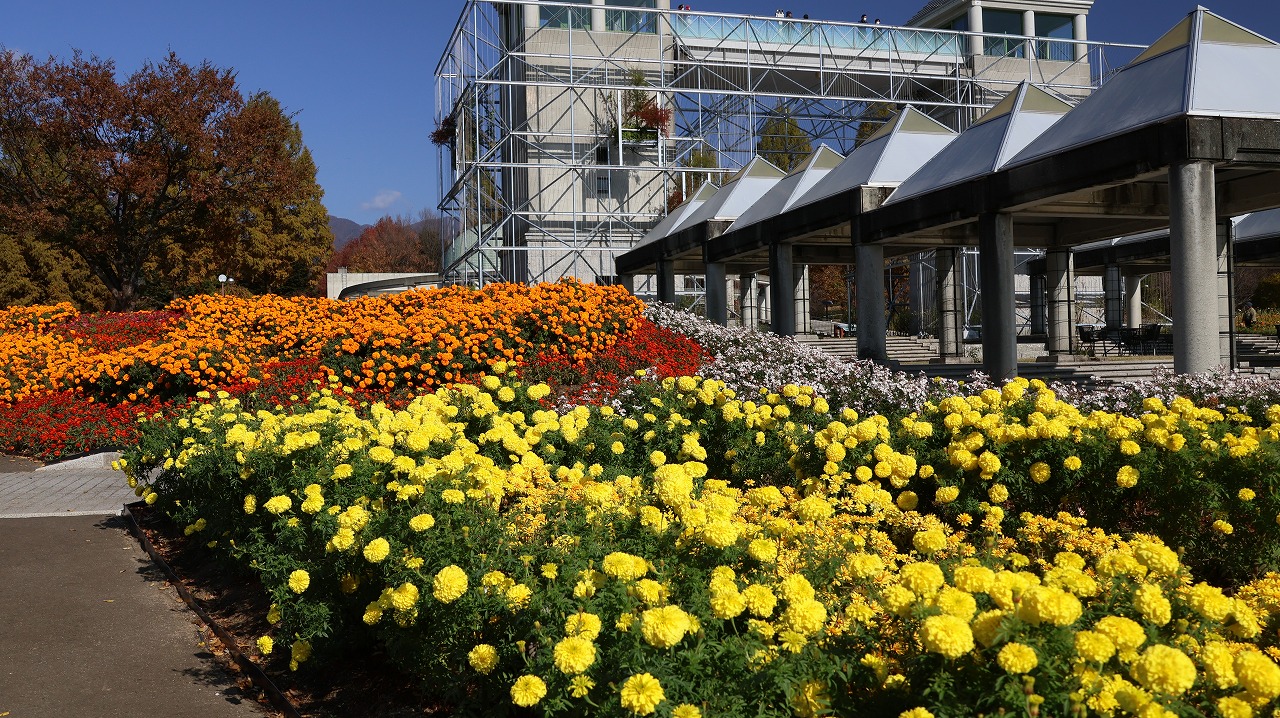 群馬県前橋市の群馬フラワーパークの花々