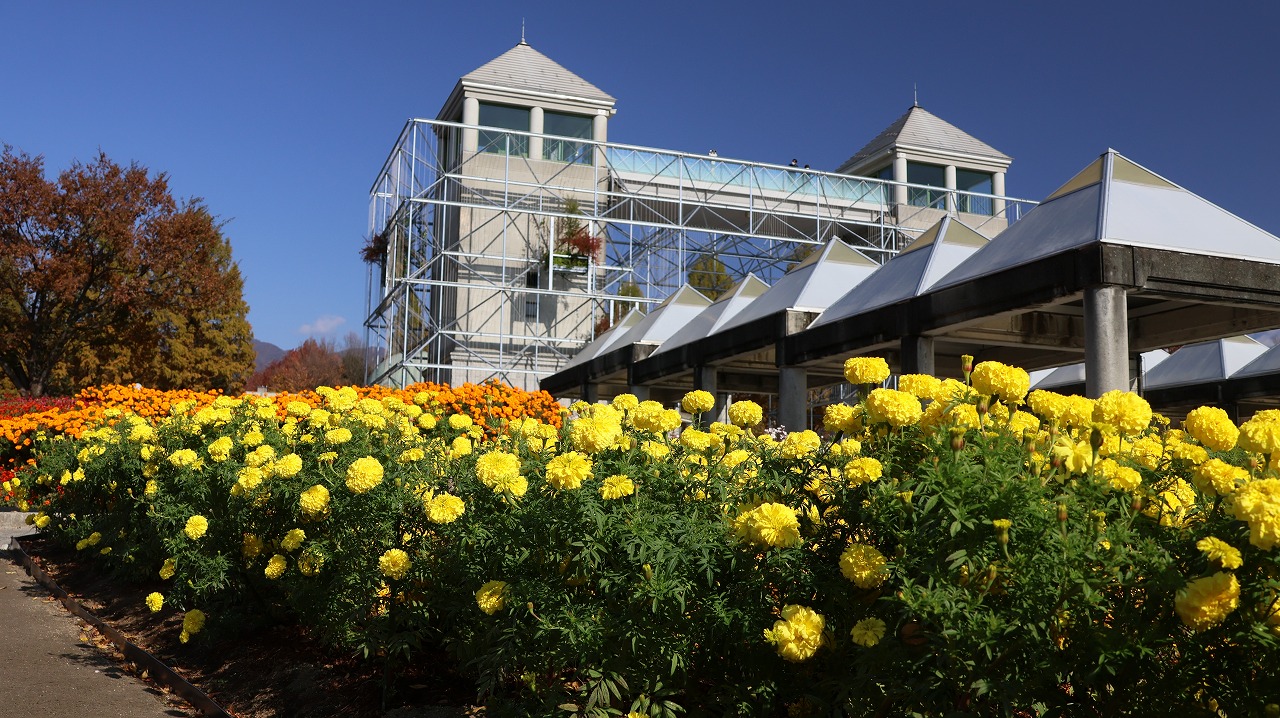 群馬県前橋市の群馬フラワーパークの花々