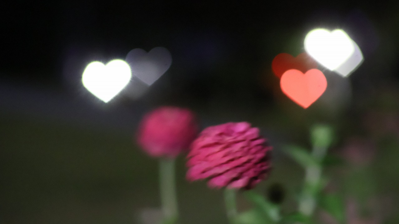 群馬県太田市の太田市運動公園の風鈴と花