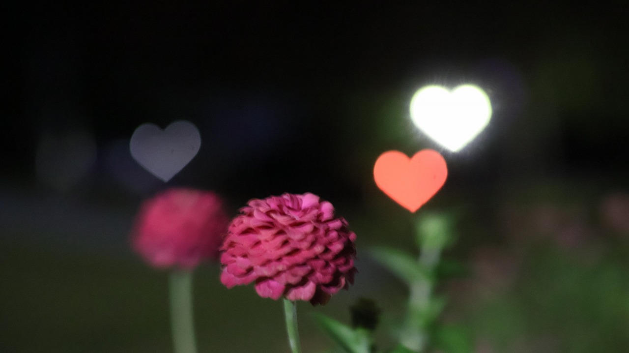 群馬県太田市の太田市運動公園の風鈴と花