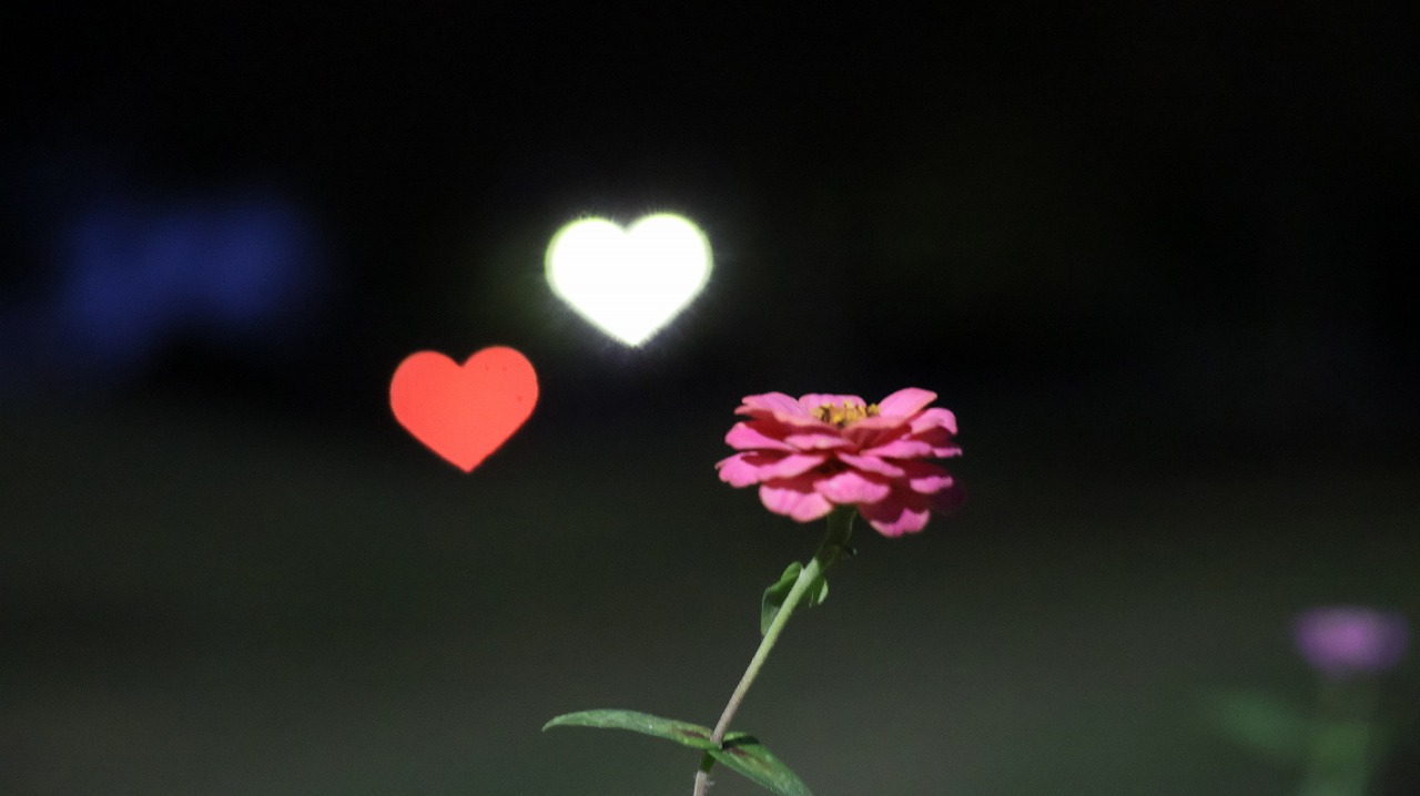 群馬県太田市の太田市運動公園の風鈴と花