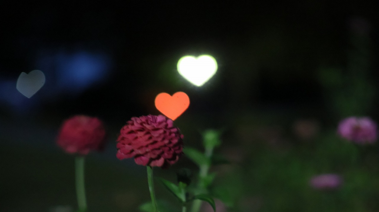 群馬県太田市の太田市運動公園の風鈴と花