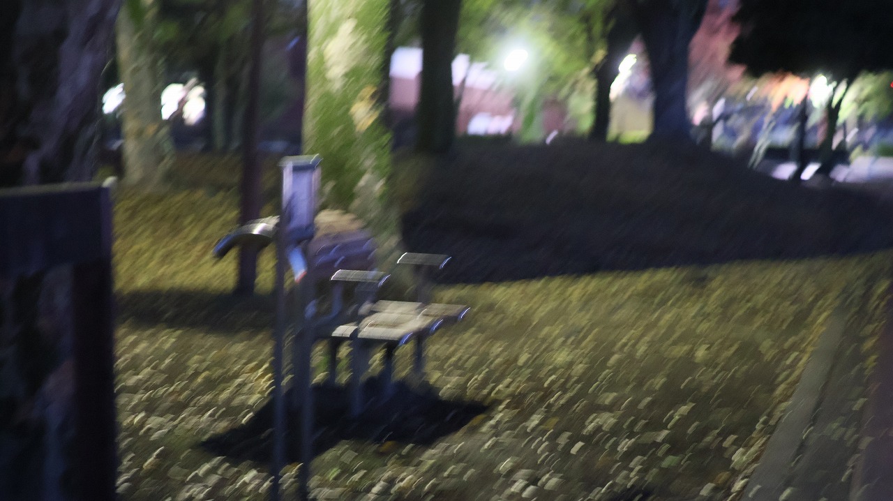 群馬県太田市の太田市運動公園の風鈴と花