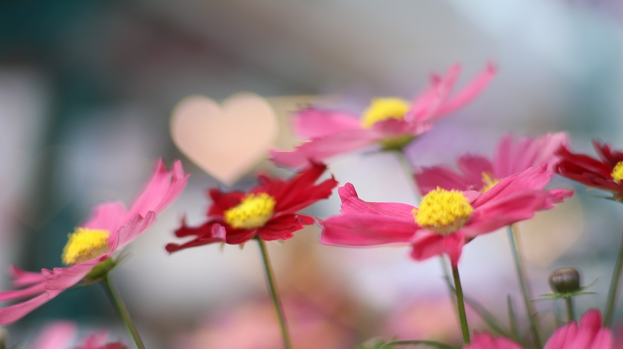 栃木県足利市のあしかがフラワーパークの花々