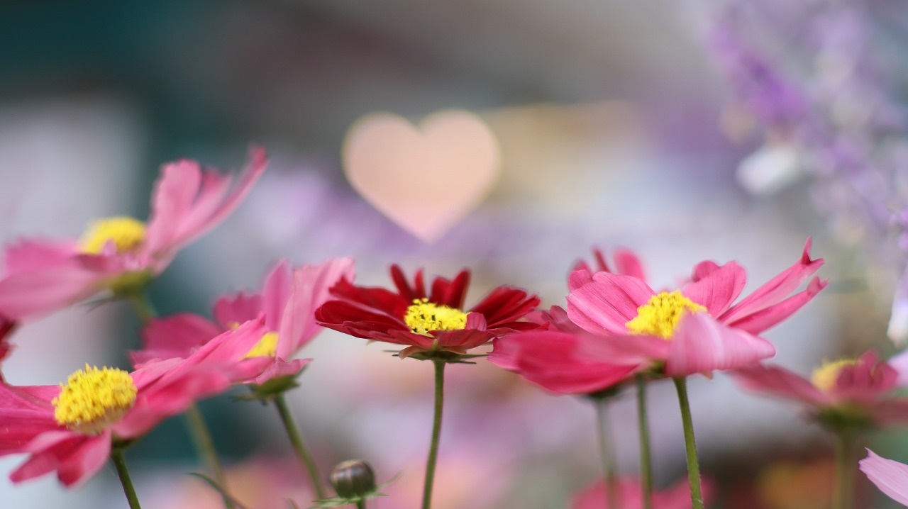 栃木県足利市のあしかがフラワーパークの花々