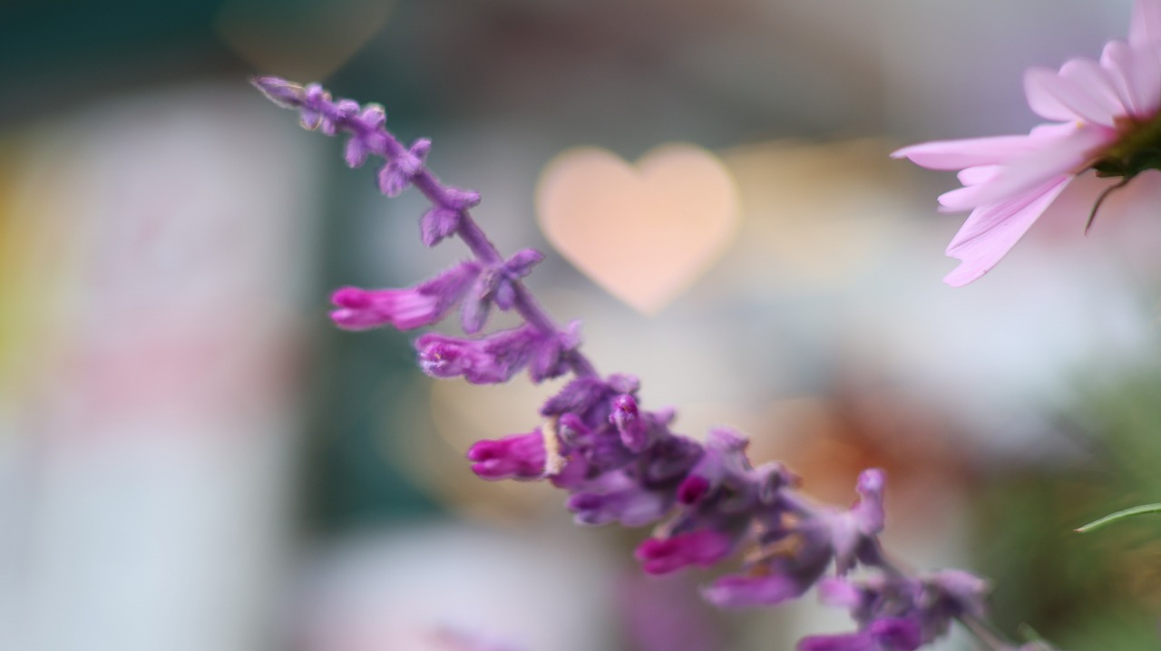 栃木県足利市のあしかがフラワーパークの花々