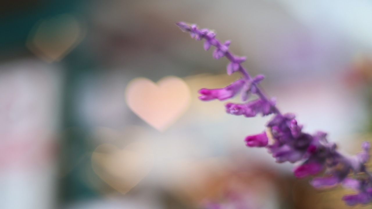 栃木県足利市のあしかがフラワーパークの花々