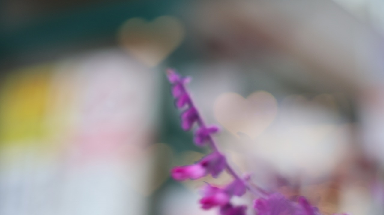 栃木県足利市のあしかがフラワーパークの花々