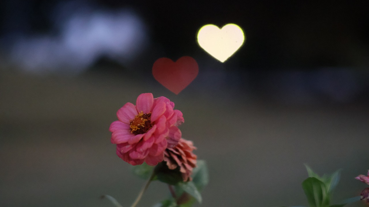 群馬県太田市の太田市運動公園の風鈴と花