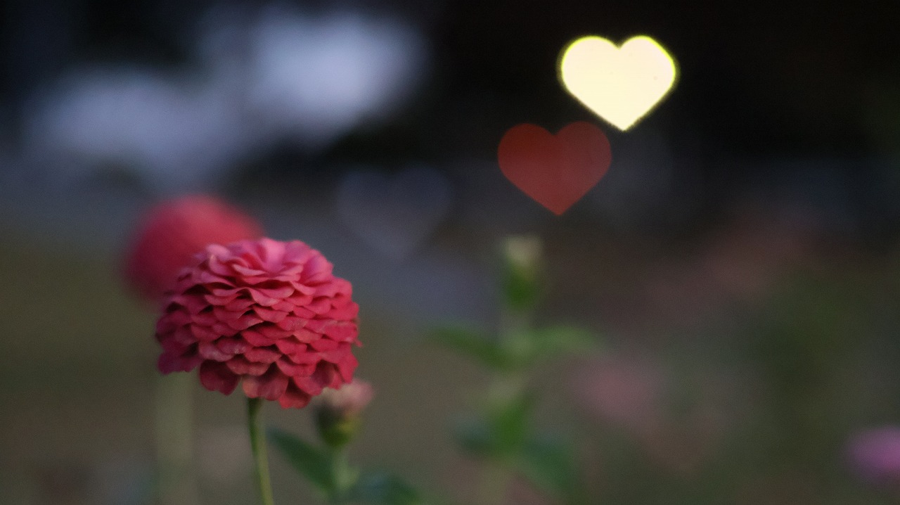 群馬県太田市の太田市運動公園の風鈴と花