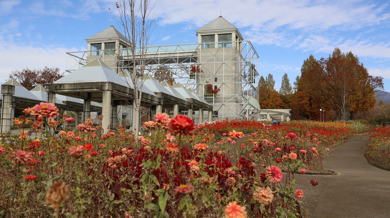 群馬県前橋市の群馬フラワーパークの花々
