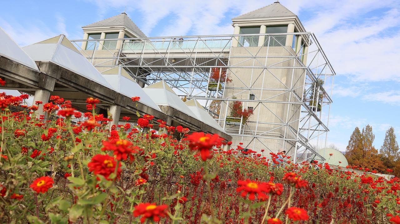 群馬県前橋市の群馬フラワーパークの花々