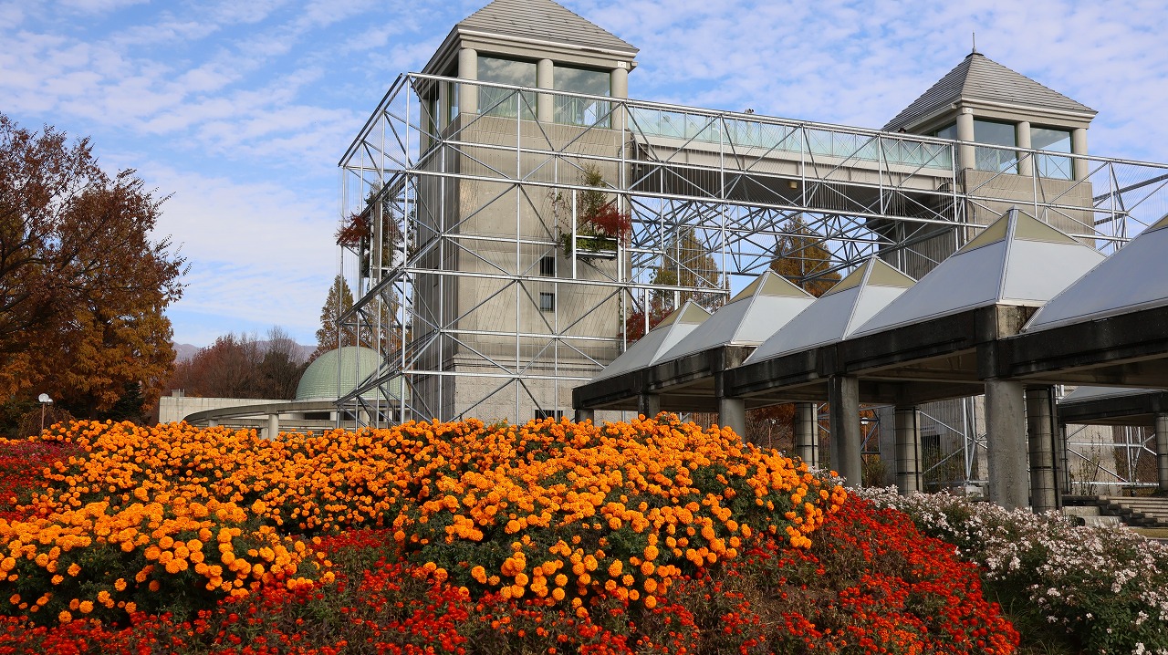 群馬県前橋市の群馬フラワーパークの花々