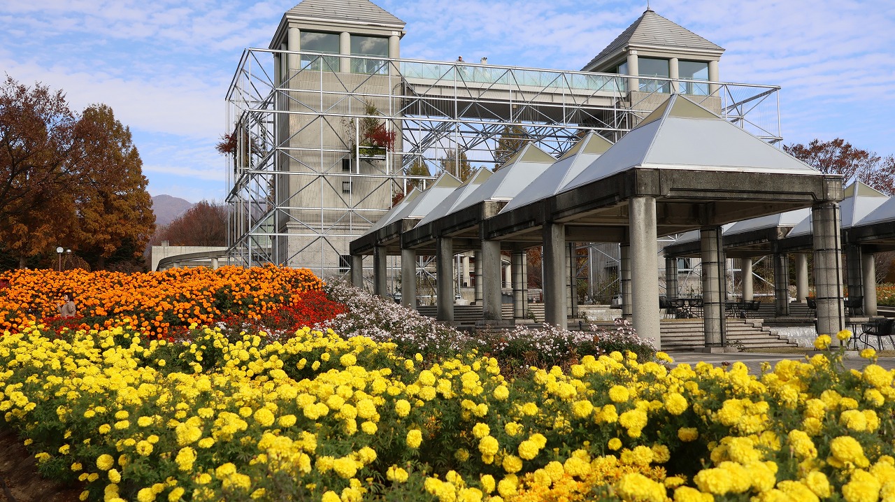 群馬県前橋市の群馬フラワーパークの花々