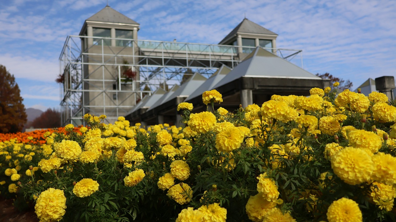 群馬県前橋市の群馬フラワーパークの花々