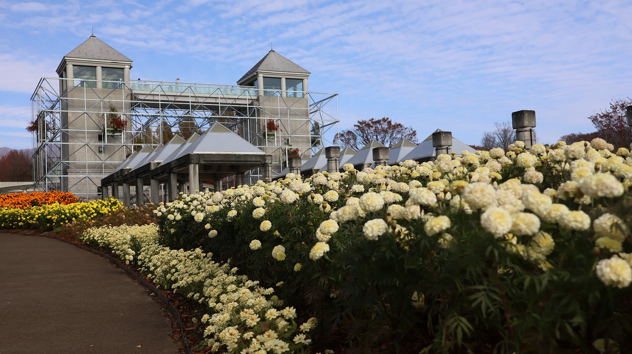 群馬県前橋市の群馬フラワーパークの花々