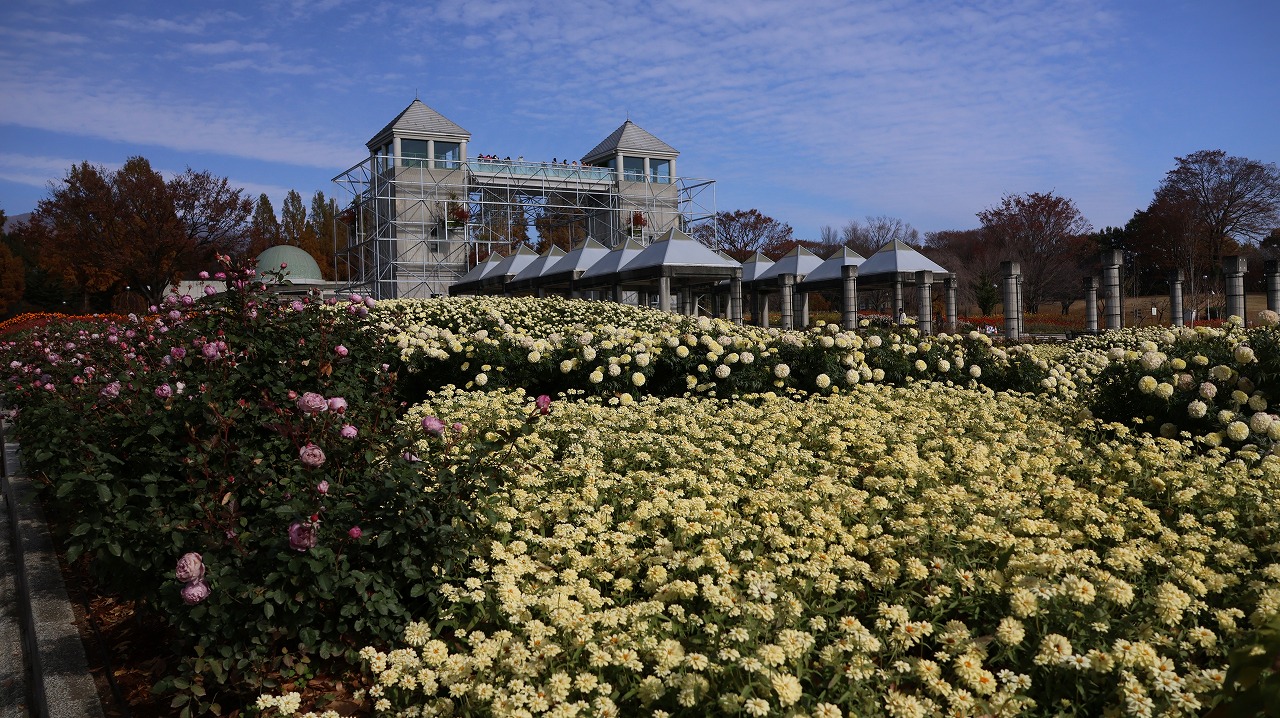 群馬県前橋市の群馬フラワーパークの花々
