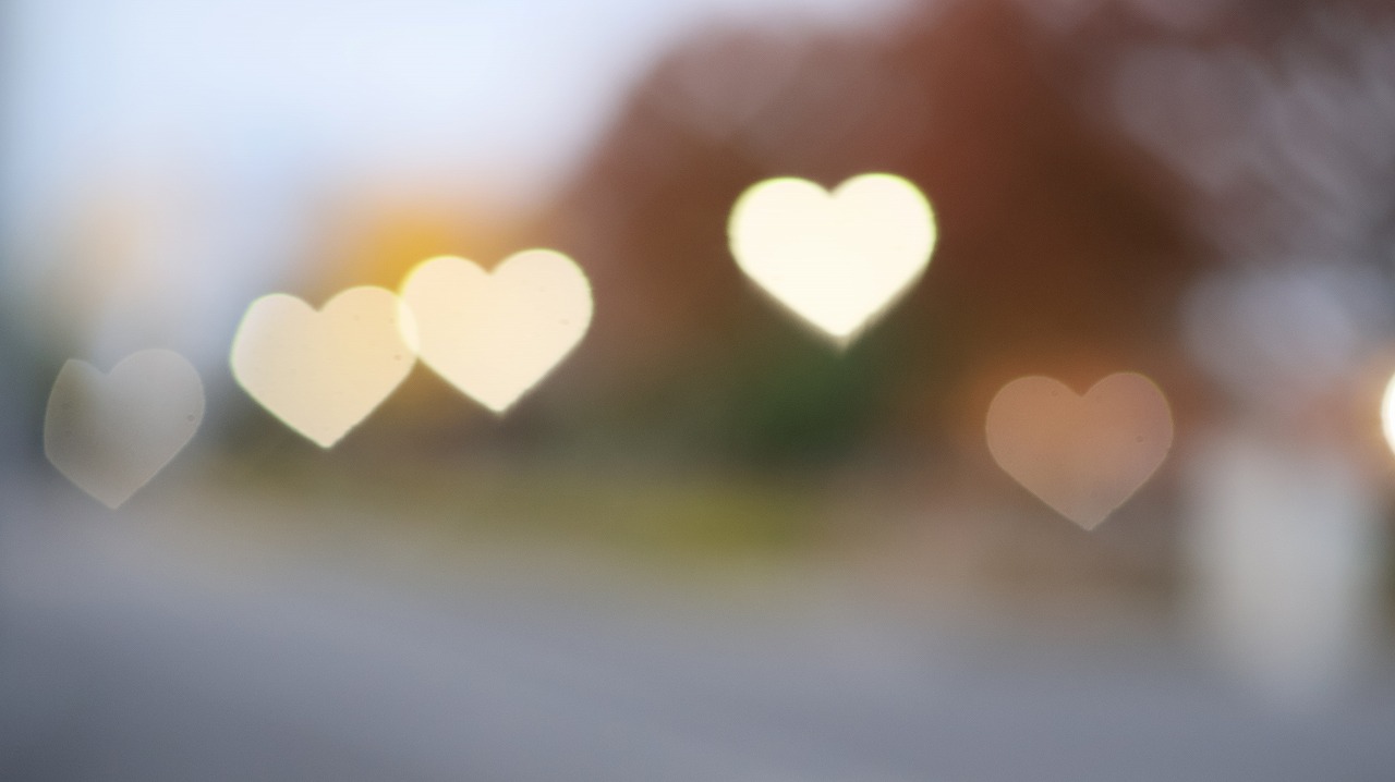 群馬県太田市の太田市運動公園の風鈴と花