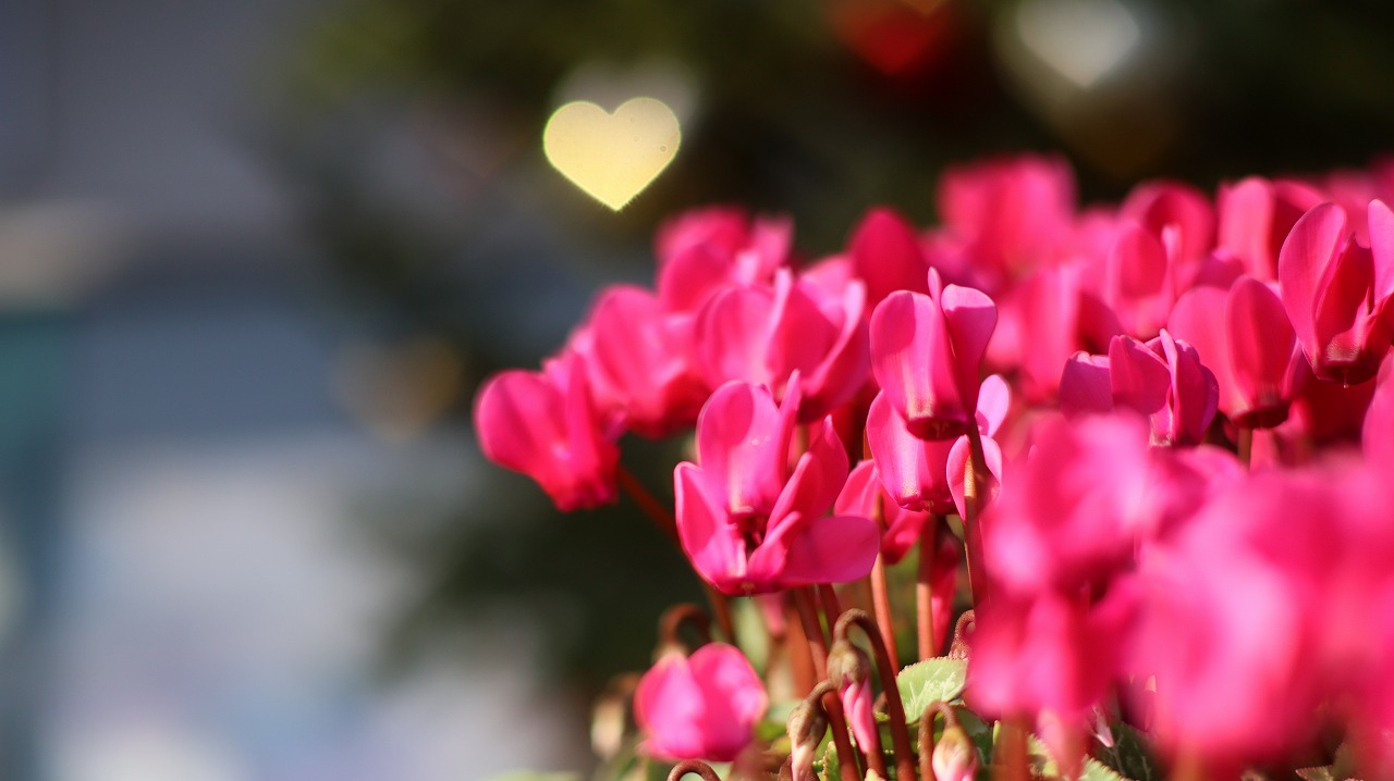栃木県足利市のあしかがフラワーパークの花々