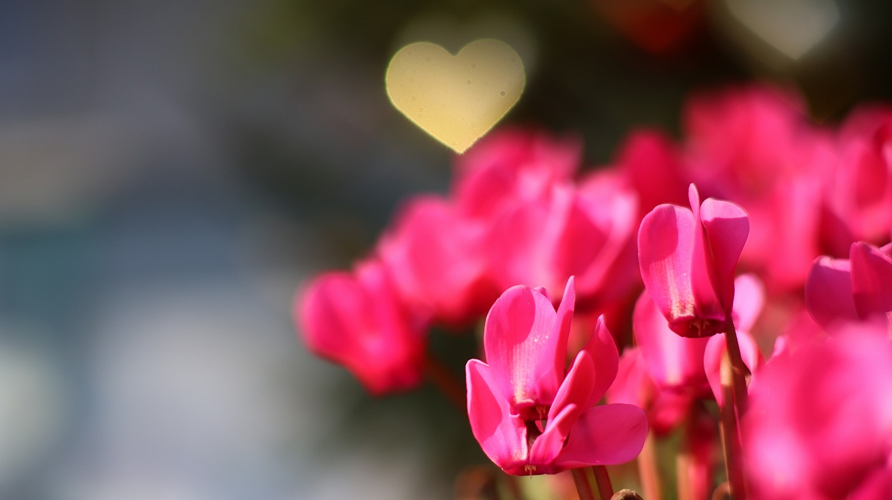 栃木県足利市のあしかがフラワーパークの花々