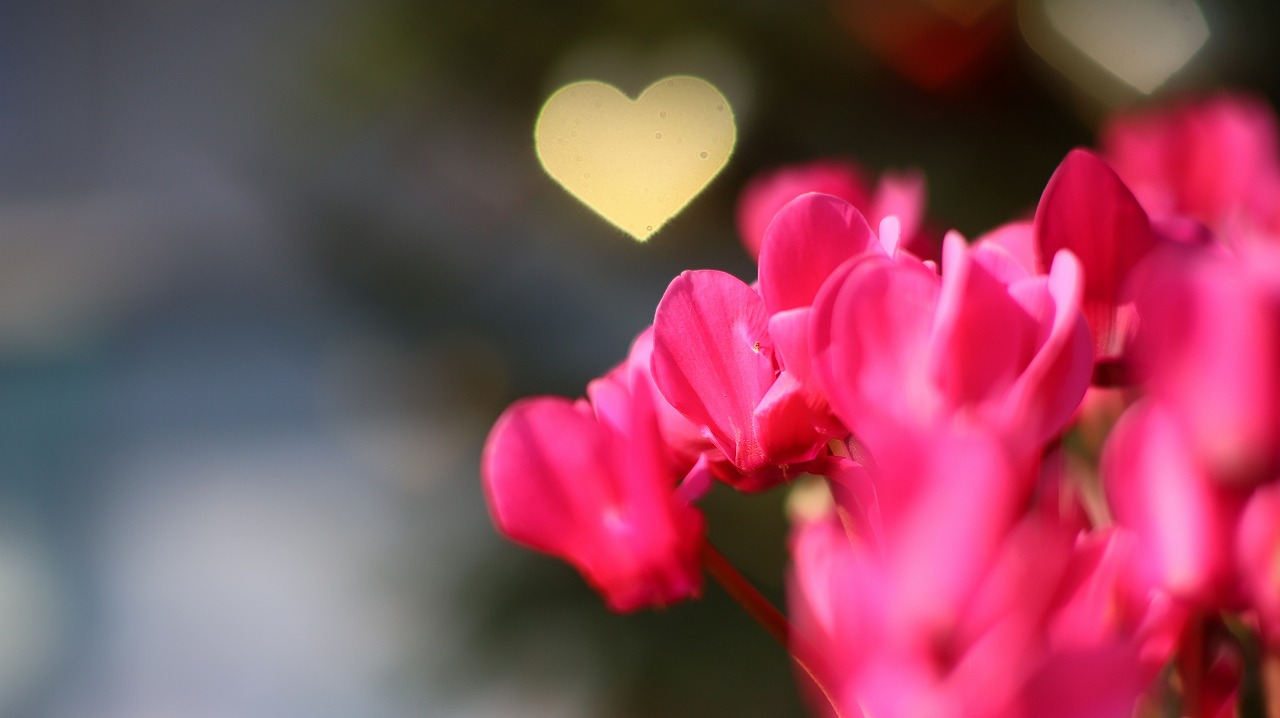 栃木県足利市のあしかがフラワーパークの花々