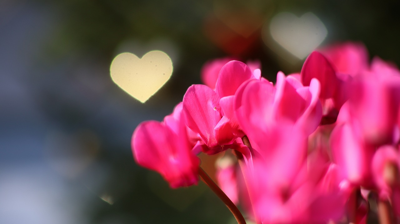 栃木県足利市のあしかがフラワーパークの花々