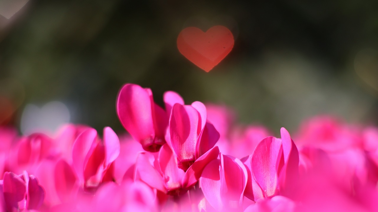 栃木県足利市のあしかがフラワーパークの花々