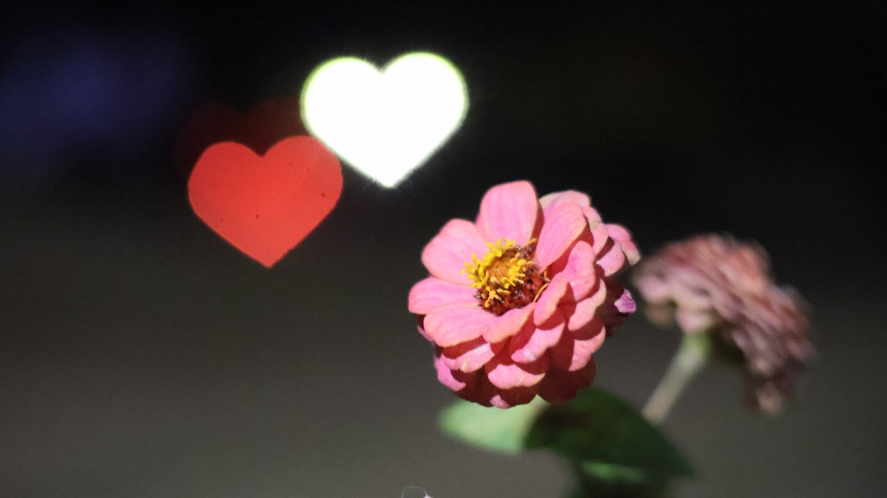 群馬県太田市の太田市運動公園の風鈴