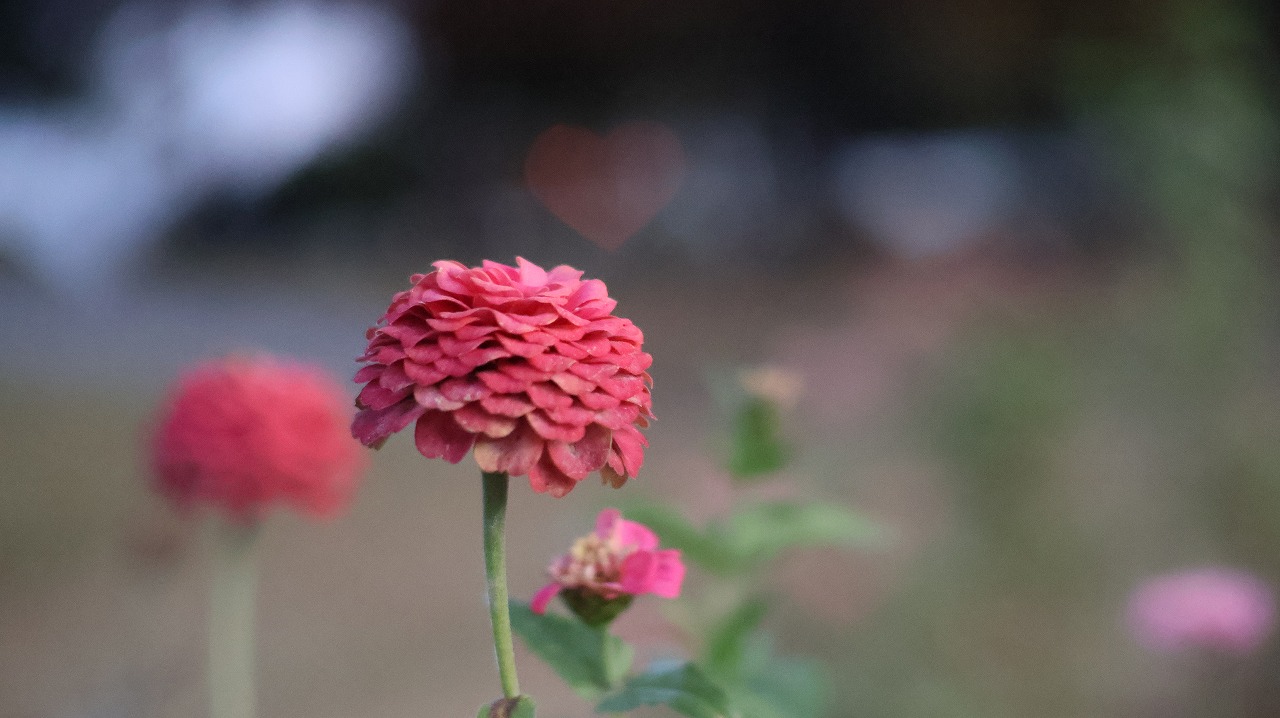 群馬県太田市の太田市運動公園の風鈴
