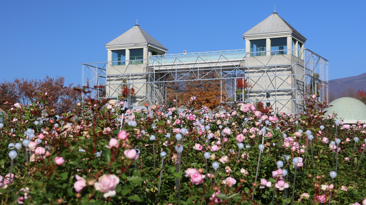 群馬県前橋市の群馬フラワーパークの花々