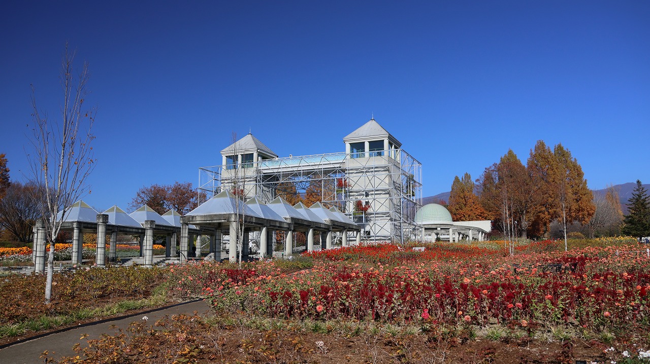 群馬県前橋市の群馬フラワーパークの花々