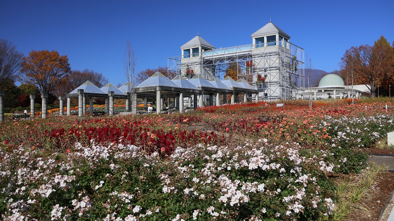 群馬県前橋市の群馬フラワーパークの花々